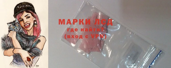 тгк Богородицк