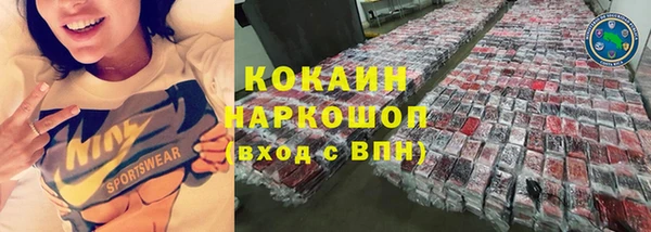 индика Баксан