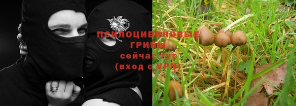 марихуана Богданович